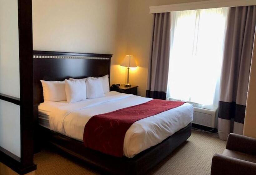 Люкс Кровать Кинг, Comfort Suites
