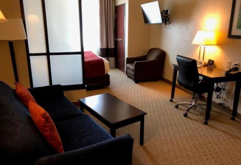 Suíte Cama King, Comfort Suites