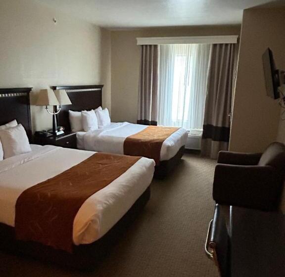 Люкс, Comfort Suites