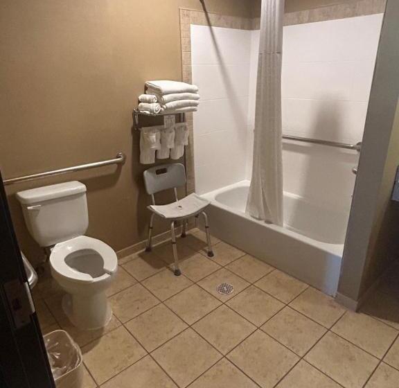 Люкс Адаптированный для Инвалидов, Comfort Suites