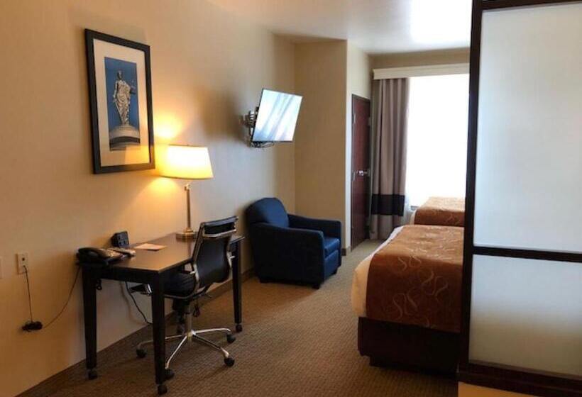 Люкс Адаптированный для Инвалидов, Comfort Suites