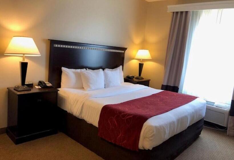 Quarto Estandar, Comfort Suites