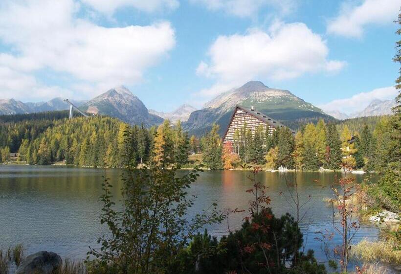 标准单人间, Patria