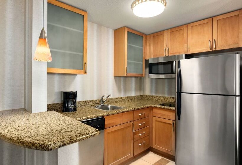 Suite Adaptată pentru Discapacitaţi, Residence Inn Chattanooga Near Hamilton Place