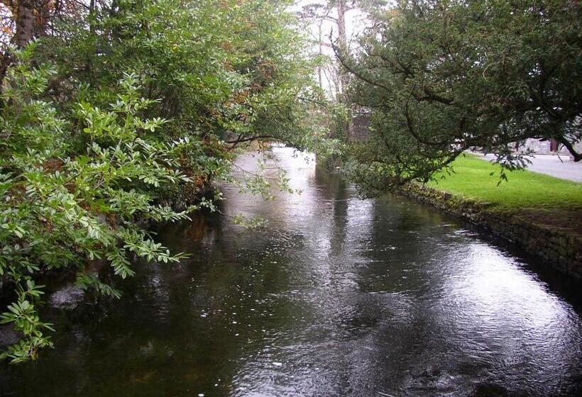 חדר סטנדרט יחיד, Ryan S