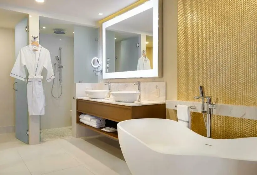 オーシャンビューデラックスステューディオ, Villa La Valencia Beach Resort & Spa Los Cabos