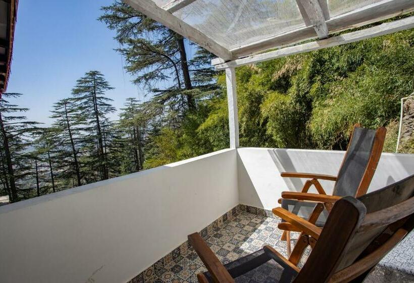 スタンダードルーム, Seclude Shimla, Taraview