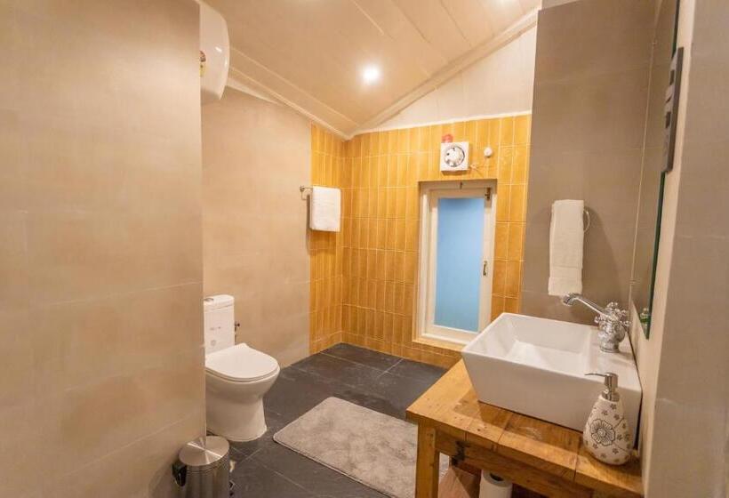 スタンダードルーム, Seclude Shimla, Taraview