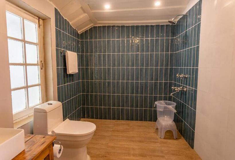 スタンダードルーム, Seclude Shimla, Taraview