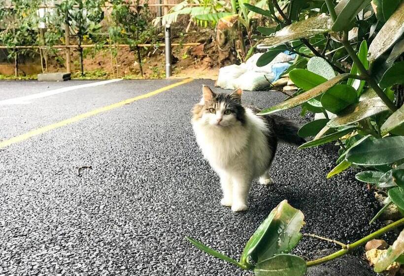 标准工作室, Niruyakanaya Bise   Vacation Stay 58739v