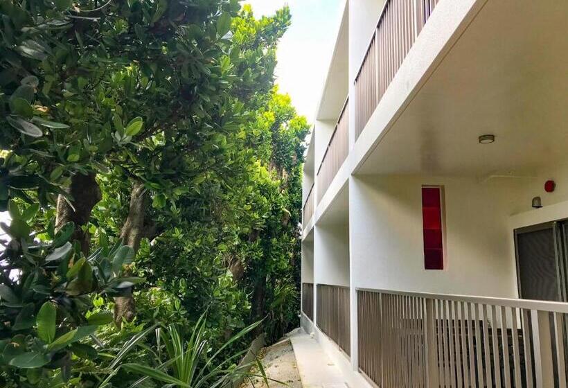 استودیوی استاندارد, Niruyakanaya Bise   Vacation Stay 58739v