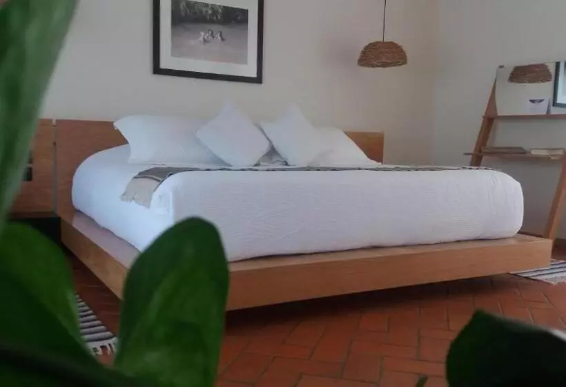 سوییت جونیور, Boutique Casa Fernanda