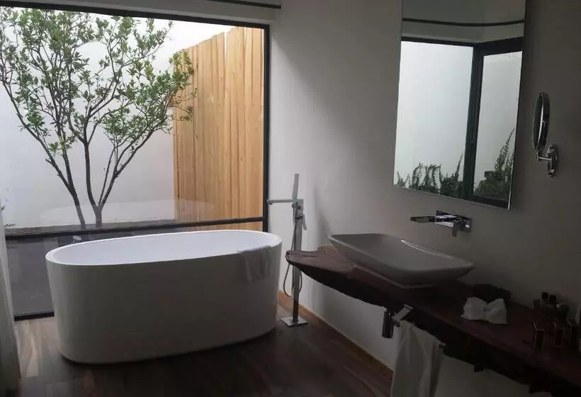 سوئیت با تخت بزرگ, Boutique Casa Fernanda