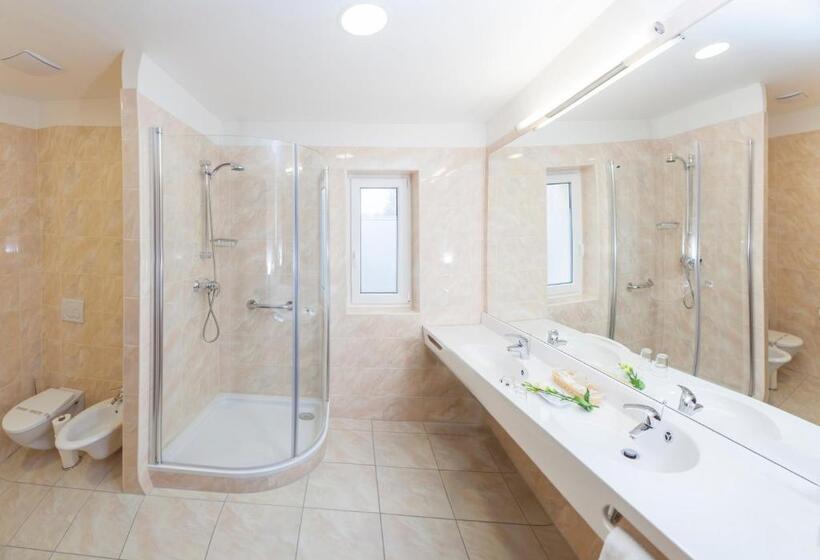 חדר סטנדרט יחיד, Francis Palace