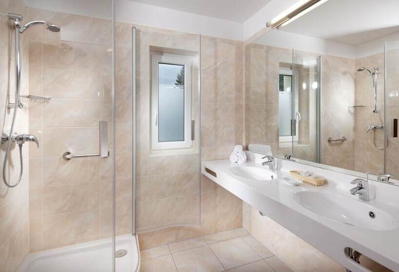 חדר סטנדרט יחיד, Francis Palace