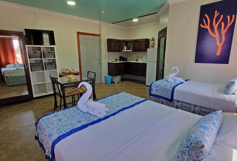 带观景的标准间, Island Magic Beach Resort