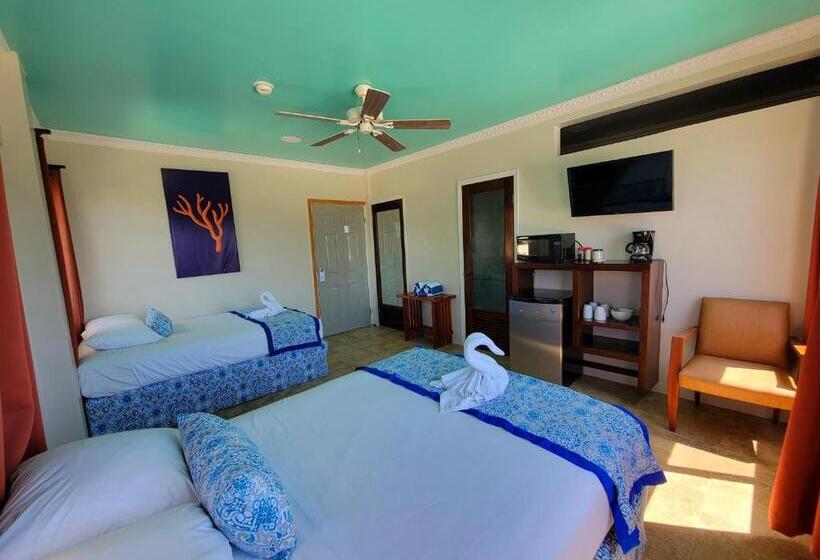 带观景的标准间, Island Magic Beach Resort