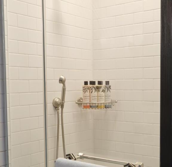 标准内部工作室, The Ned Nomad