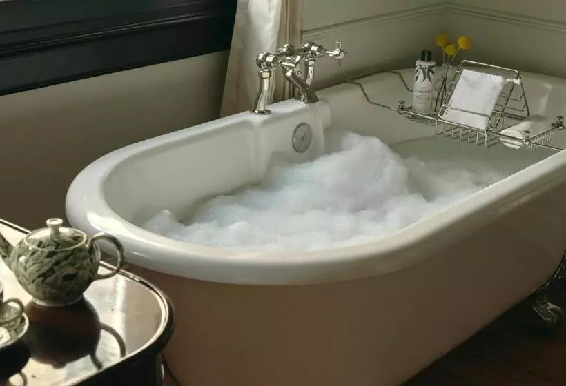 Standard-studio, The Ned Nomad