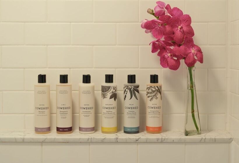 家庭间, The Ned Nomad