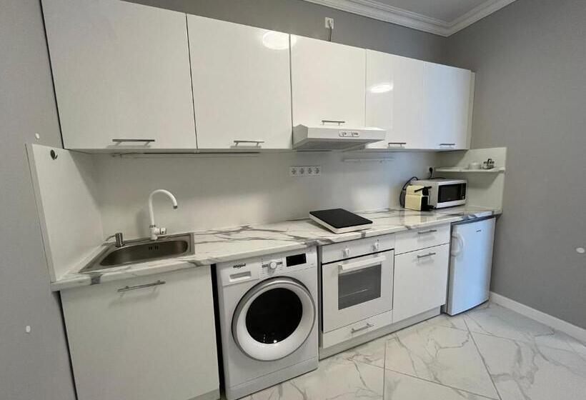 استودیوی استاندارد, Camille Apartmanhouse