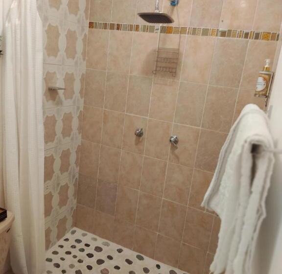 스탠다드 룸, Beraka