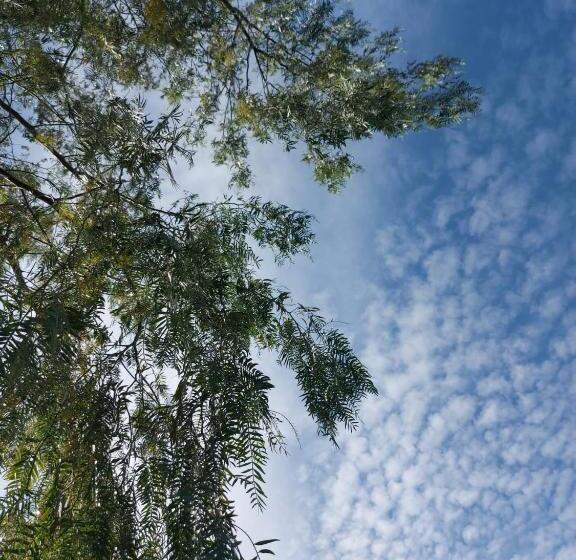 수피리어 스튜디오, Villa Nadira