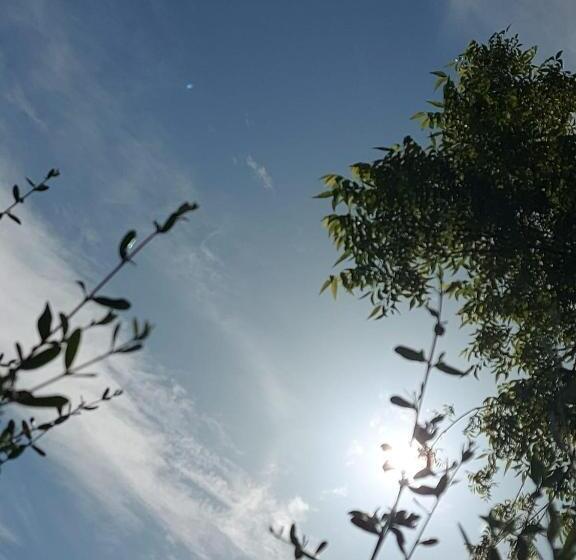 수피리어 스튜디오, Villa Nadira