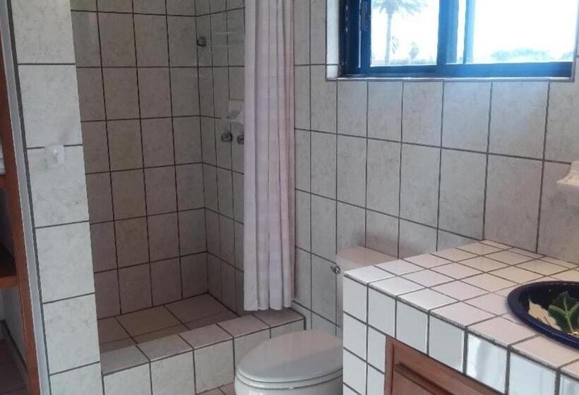 جناح ديلوكس, Loreto Playa Boutique