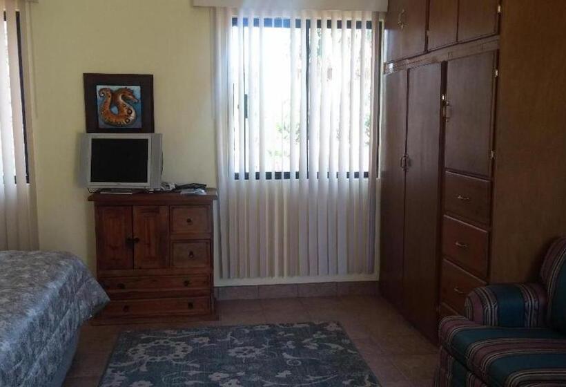 جناح ديلوكس, Loreto Playa Boutique