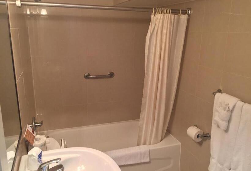 חדר סטנדרט מיטה זוגית, Motel Du Chevalier