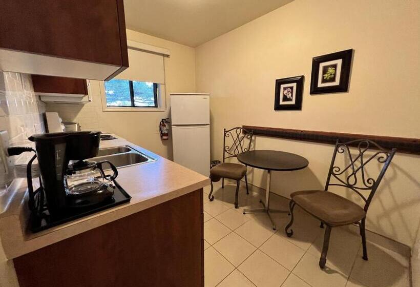 סוויטה, Motel Du Chevalier