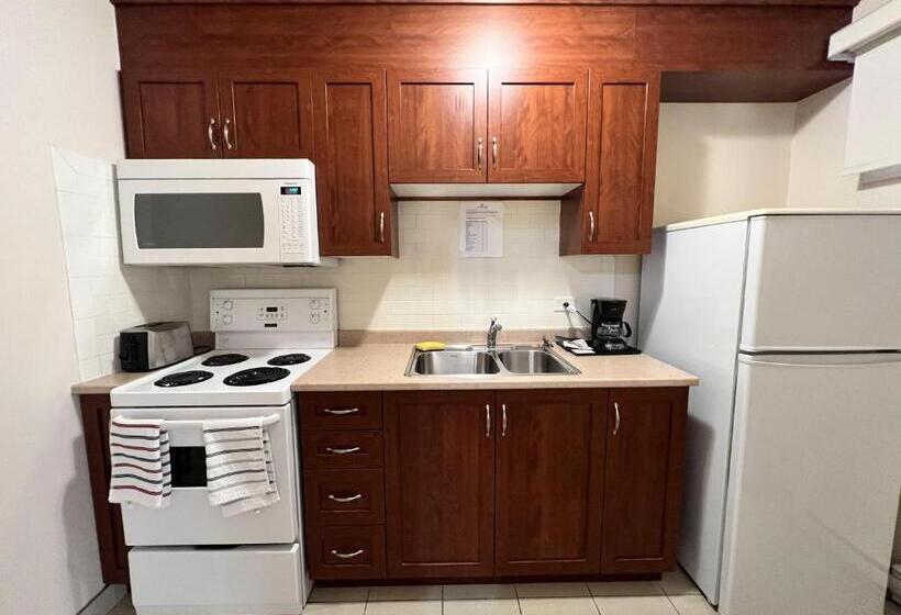 סוויטה, Motel Du Chevalier