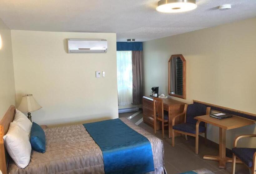 חדר סופריור, Motel Du Chevalier