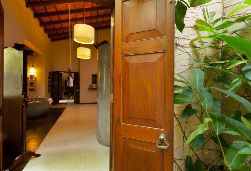 سوییت با چشم‌انداز دریا, Reef Villa
