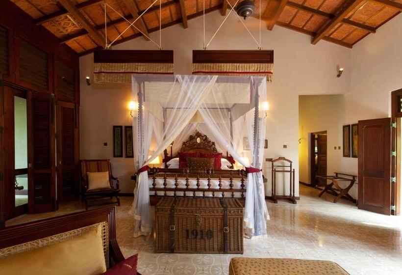 سوییت با چشم‌انداز دریا, Reef Villa
