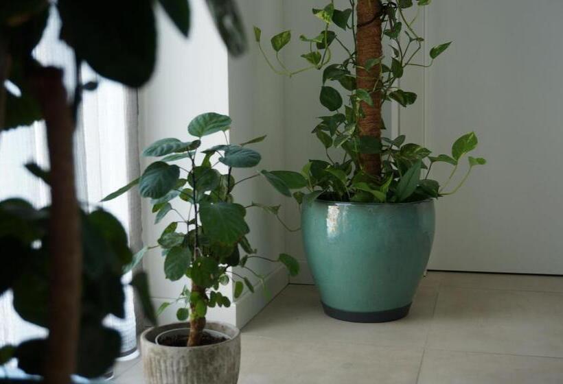 اتاق سوپریور, Green Stay Bergamo