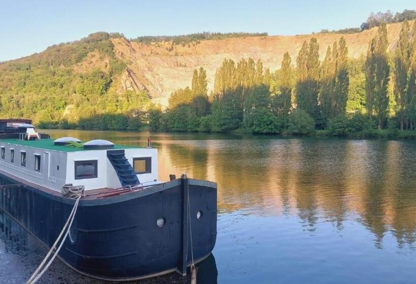 Номер Стандарт с Террасой, Péniche Graziella