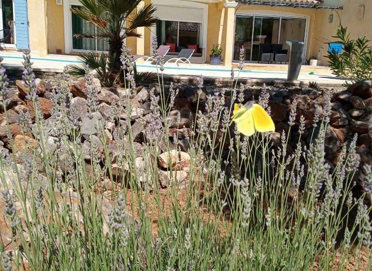 스탠다드 룸 풀장 전망, Chambres D Hãƒæ’ã‚â´tes Dans Authentique Mas Avec Piscine En Provence