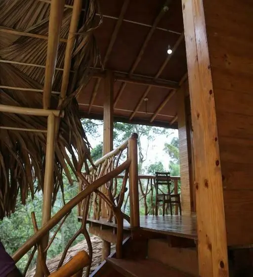 シャレー・スペリアー1寝室, Eco Village