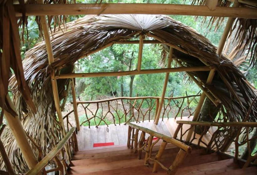 شاليه غرفة نوم واحدة, Eco Village