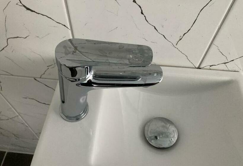 غرفة قياسية مطلة على المدينة, Nr1