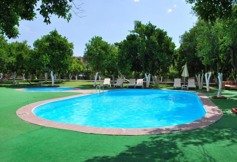 Номер Стандарт Индивидуальный, Castle Park