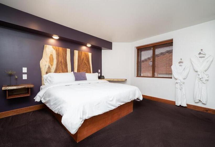 غرفة قياسية سرير كينج لذوى الإحتياجات الخاصة, The Horton