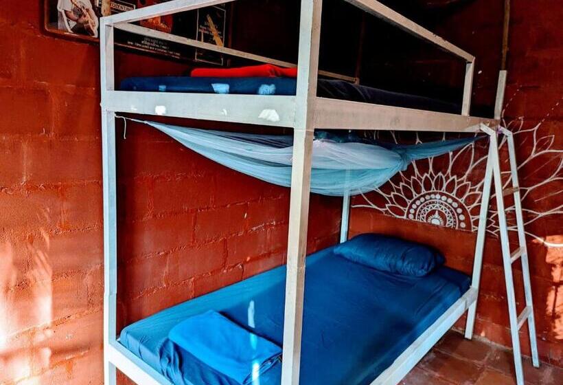 سرير فى غرفة مشتركه, Yellow Sun Kampot