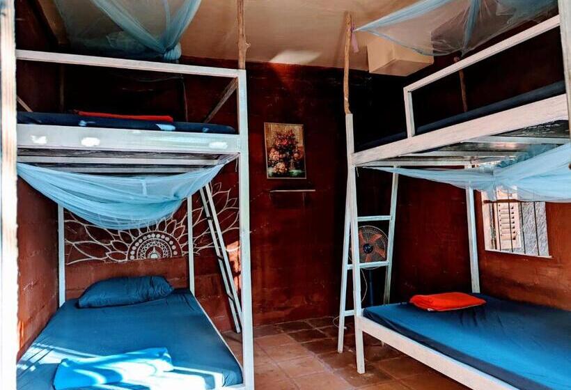 سرير فى غرفة مشتركه, Yellow Sun Kampot