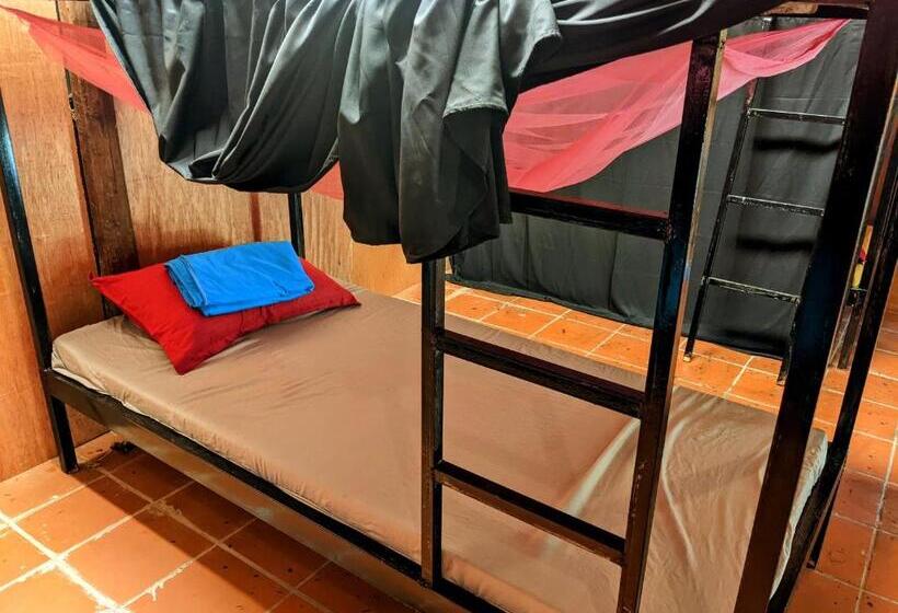 سرير فى غرفة مشتركه, Yellow Sun Kampot