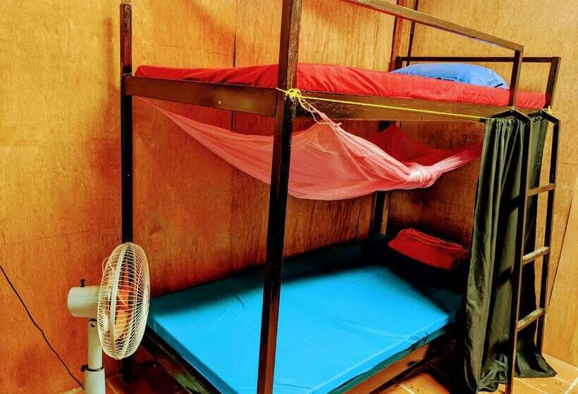 سرير فى غرفة مشتركه, Yellow Sun Kampot