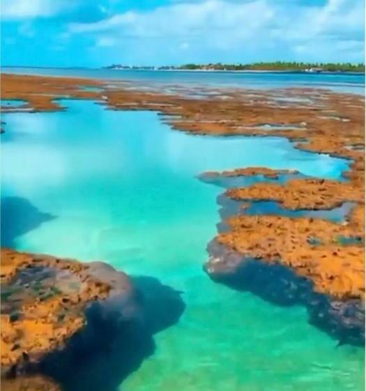 プールビュースイート, Pousada Recanto Pontal De Maracaipe