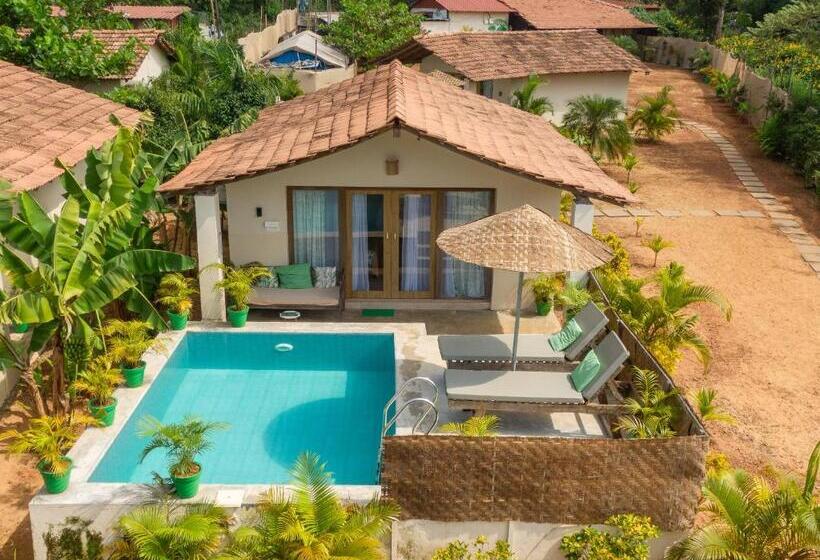 غرفة قياسية سرير كينج, Green Leaf Resort Goa